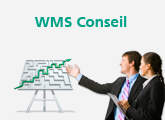 WMS Conseil