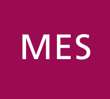 MES Logo mit dunkelpinkem Hintergrund