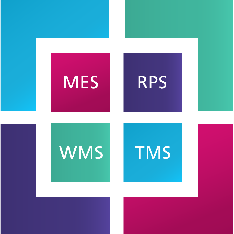 Übersicht der Systemgruppen WMS, TMS, RPS und MES